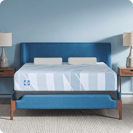 Sealy - Sealy® Dreamlife™ 10” Foam Mattress-in-a-Box, CA King - White