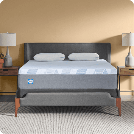 Sealy - Sealy® Dreamlife™ 12” Foam Mattress-in-a-Box, Twin - White
