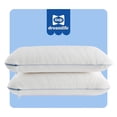 thumbnail image 1 of Sealy Dreamlife Memory Foam Pillow, Standard - Dual Pack, Adult, 1 of 10