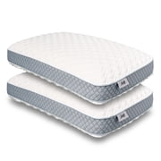Sealy Essentials Classic Memory Foam Pillow, 2-Pack