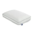 thumbnail image 1 of Sealy Essentials Memory Foam Bed Pillow, Standard, Adult, 1 of 9