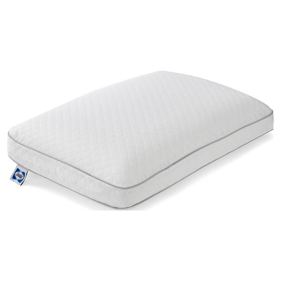 Sealy Essentials Memory Foam Bed Pillow, Standard, Adult