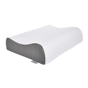Sealy - Memory Foam Contour Pillow - White and Gray