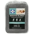 Sealy Quilted Plush Weighted Blanket