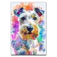 thumbnail image 1 of Sealyham Terrier Dog Poster Wall Art for Bedroom Living Room Funny Graffiti Dog Picture Cool Dog Decor Wall Art, 1 of 6