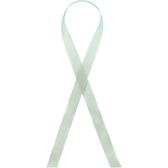 Seam Binding Rayon Ribbon 1/2-Inch x 100 Yards (170 - Sea Moss)