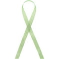 thumbnail image 1 of Seam Binding Rayon Ribbon 1/2-Inch x 100 Yards (171 - Mint Leaf), 1 of 1