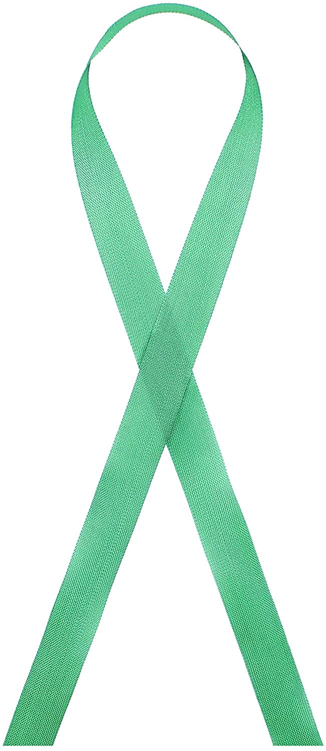 Reising Ribbon Seam Binding Rayon Ribbon 1/2-Inch x 100 Yards (173 - Kelly Green ...