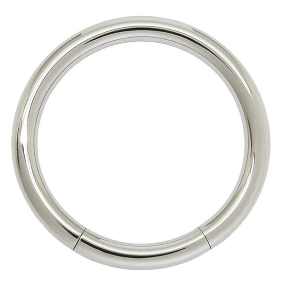 FIFTH CUE Seamless 316L Surgical Steel Segment Rings in Multiple Gauges & Sizes