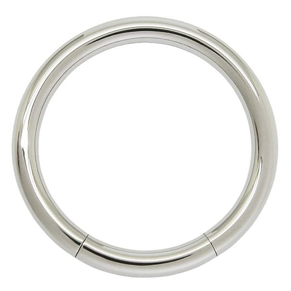 Seamless 316L Surgical Steel Segment Rings (Various Gauges & Sizes)