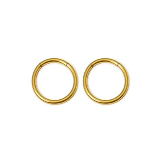 Seamless Segment Ring 2pc Hoop Rings Septum Nose Lip Helix Nipple Daith 16G 10mm