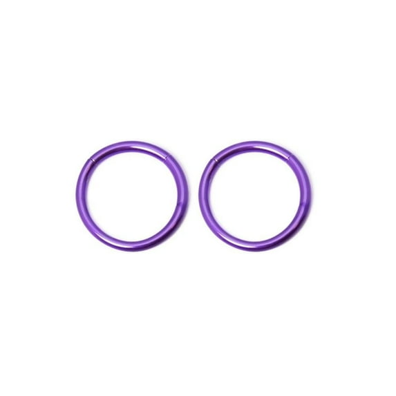 Seamless Segment Ring 2pc Hoop Rings Septum Nose Lip Helix Nipple Daith 16G 10mm