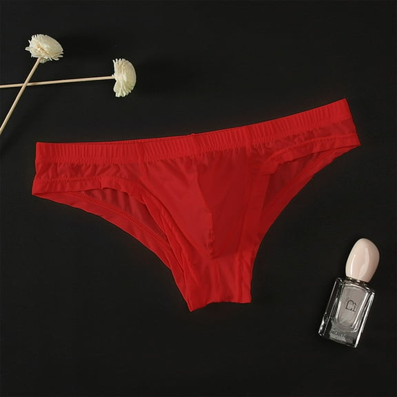Seamless Underwear Mens Bikini Underwear Soft Lightweight Thong G-String Briefs Red XL