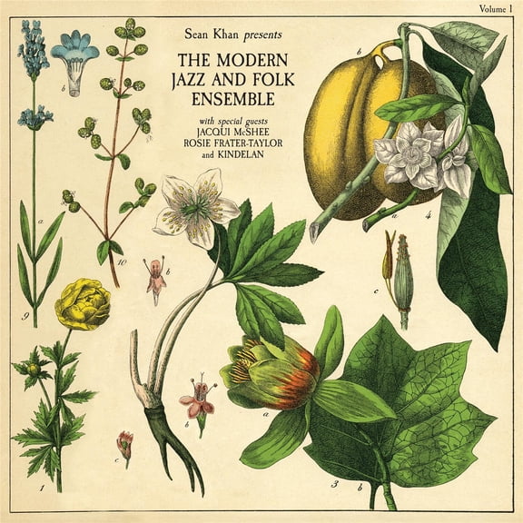 Sean Khan & the Modern Jazz & Folk Ensemble - Sean Khan Presents The Modern Jazz & Folk Ensemble - Music & Performance - CD