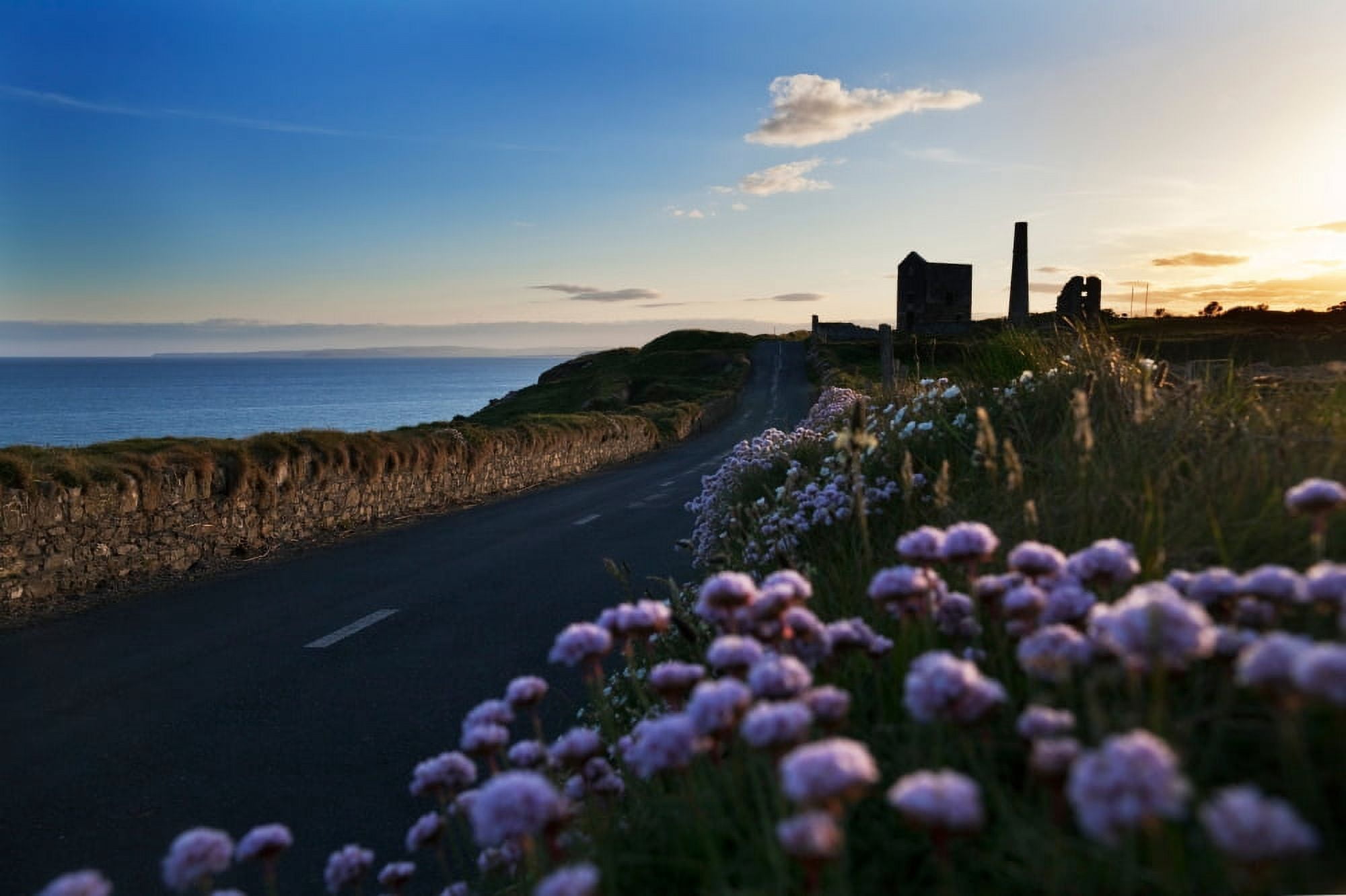 Seapink lining the country road County Waterford Ireland Canvas Art - Panoramic Images (27 x 9)