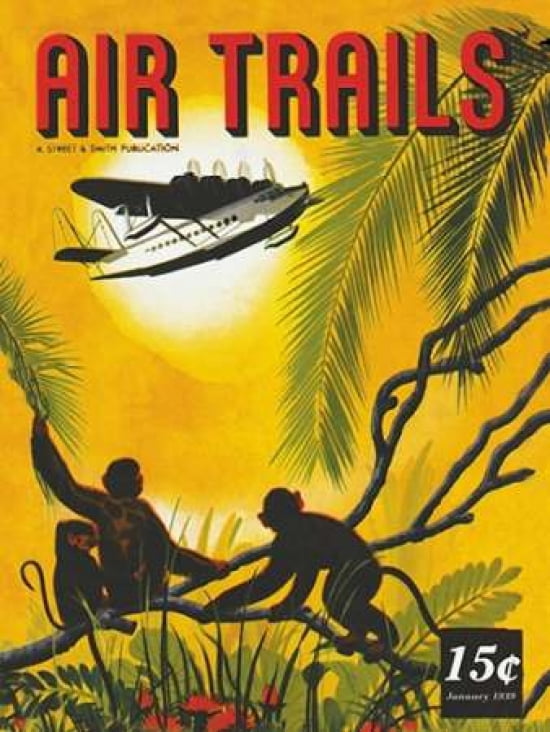 Seaplane Over the Tropics Canvas Art - Unknown (18 x 24)
