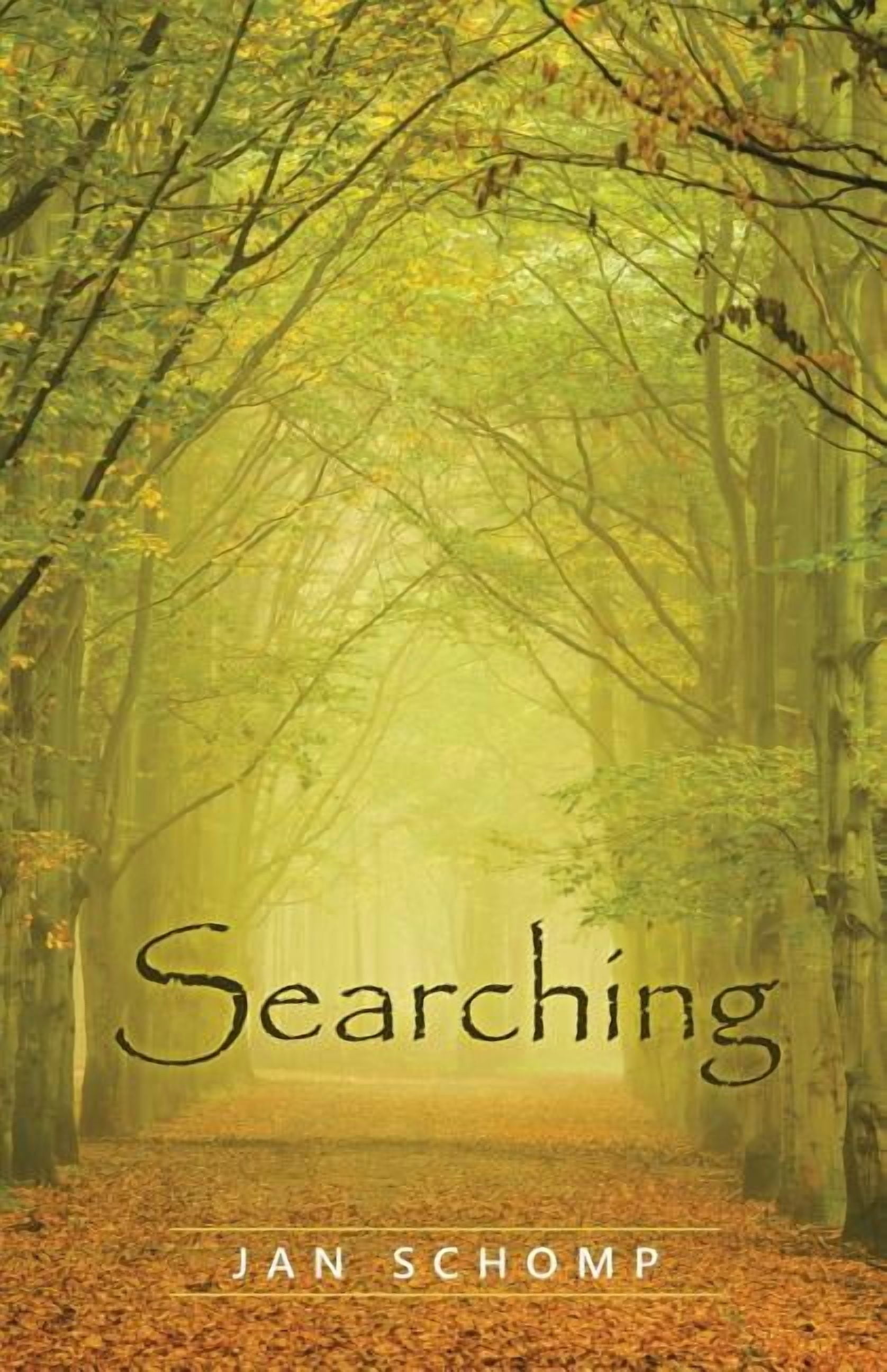 Searching (Paperback) - Walmart Business Supplies