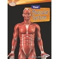 thumbnail image 1 of Pre-Owned Your Muscular System (Library Binding) 9780761374497, 1 of 1