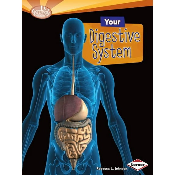 Searchlight Books (TM) -- How Does Your Your Digestive System, (Paperback)