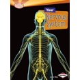 thumbnail image 1 of Your Nervous System (Searchlight Books), 1 of 1