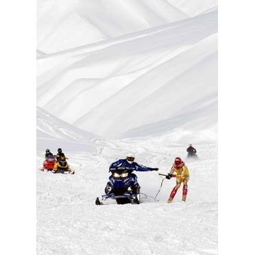 Searchlight GP Arctic I Wall Decal