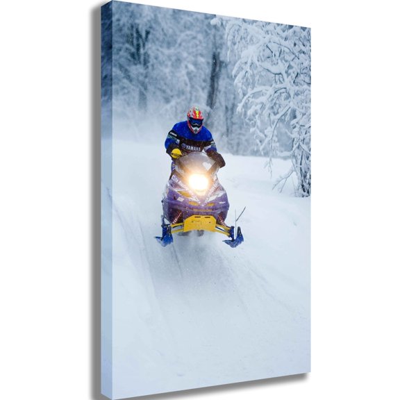 Searchlight GP Arctic II Canvas Print