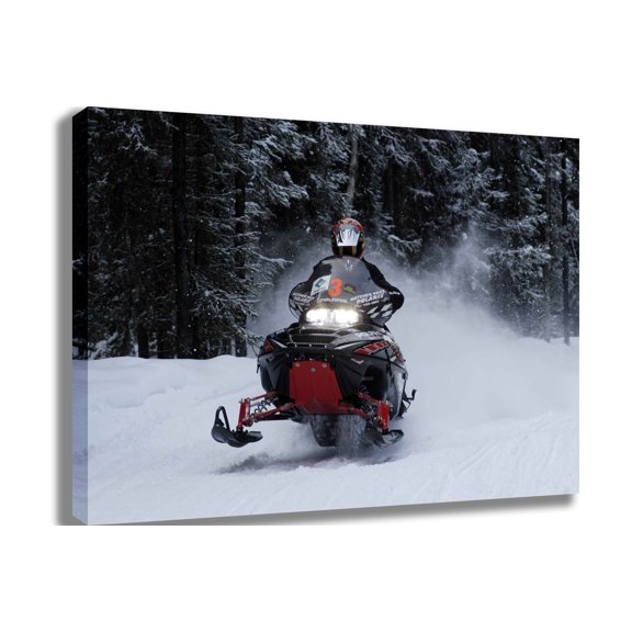 Searchlight GP Arctic IV Canvas Print