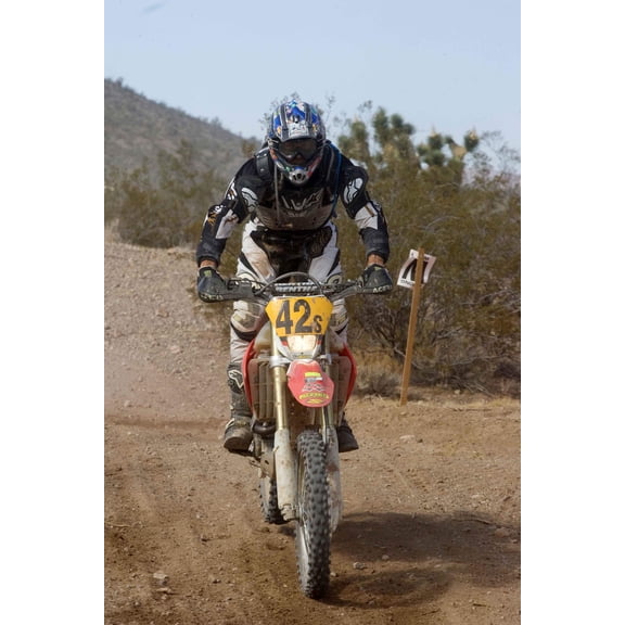 Searchlight GP Motocross IX Wall Decal