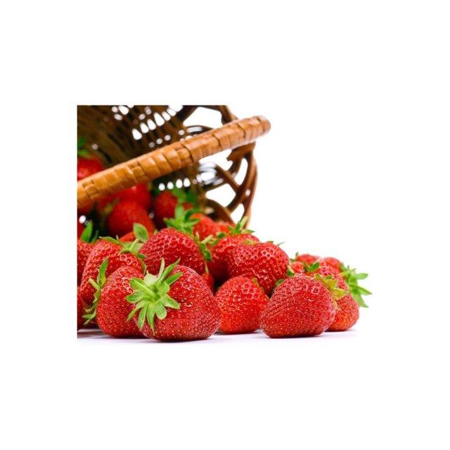Seascape Everbearing Strawberry 10 Bare Root Plants BEST FLAVOR