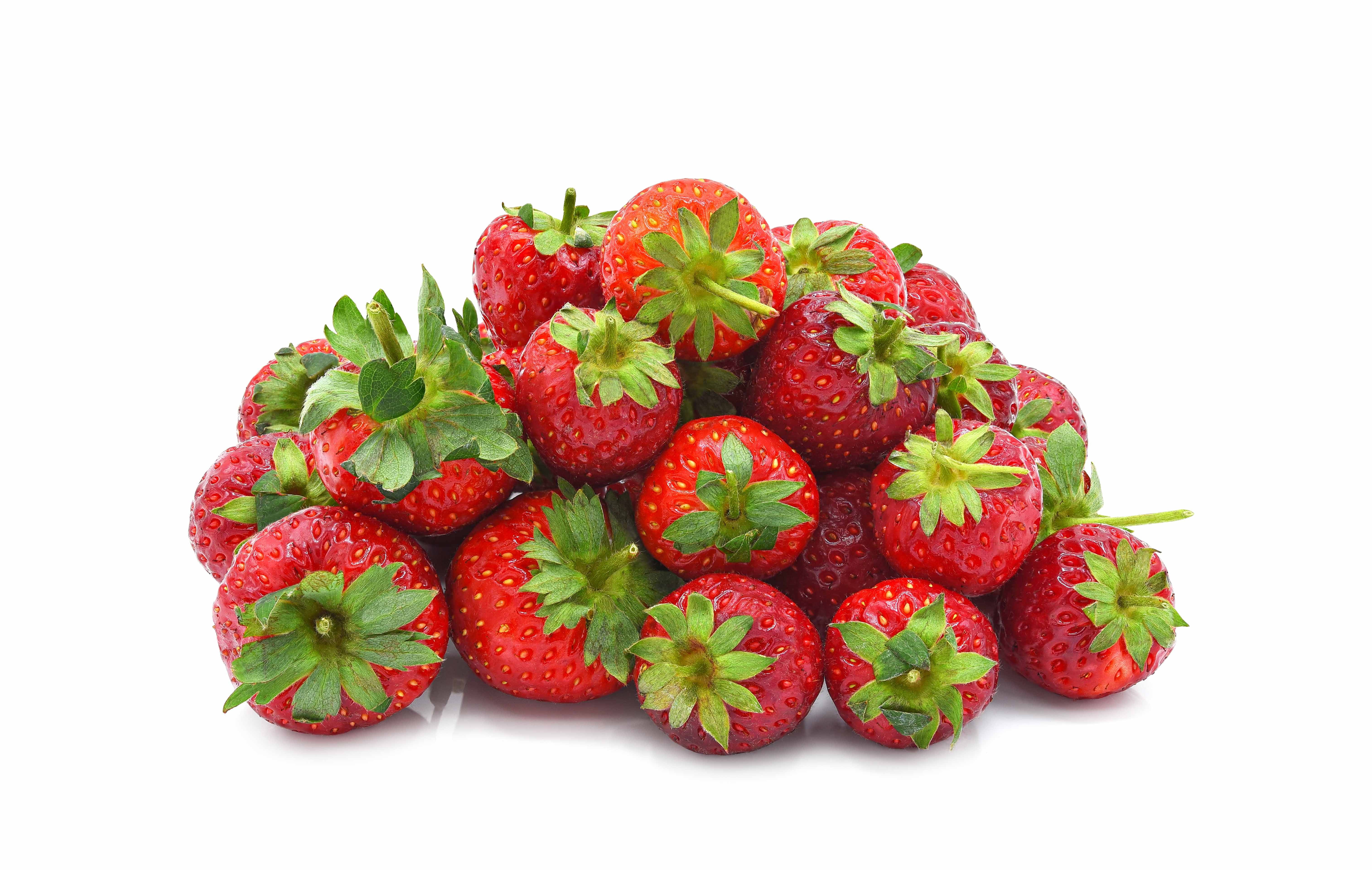 Pri Gardens Seascape Everbearing Strawberry Live Plants (25 Count)