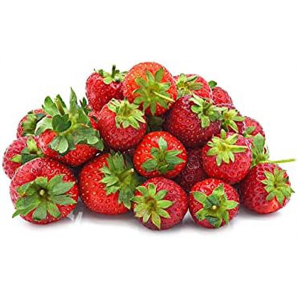 Seascape Everbearing Strawberry Roots Plants, 25 per Pack, Hardy Plants