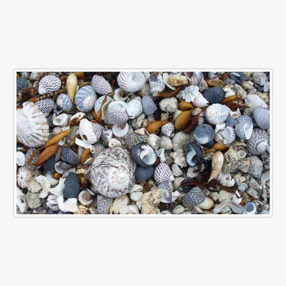 Seashell Beach Sticker