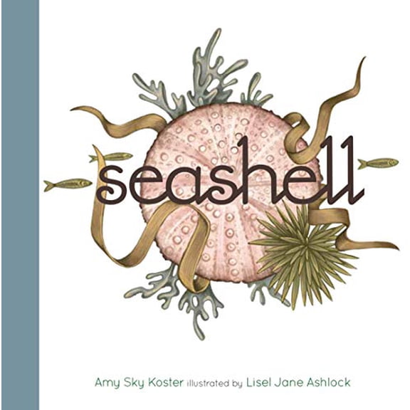 Pre-Owned Seashell (Board book) 1568463545 9781568463544
