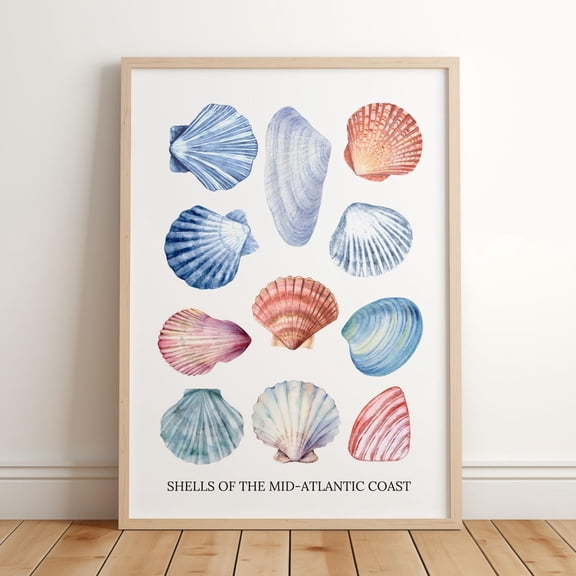 Seashell Chart Nautical Wall Art, Unframed Paper Poster 8x10in