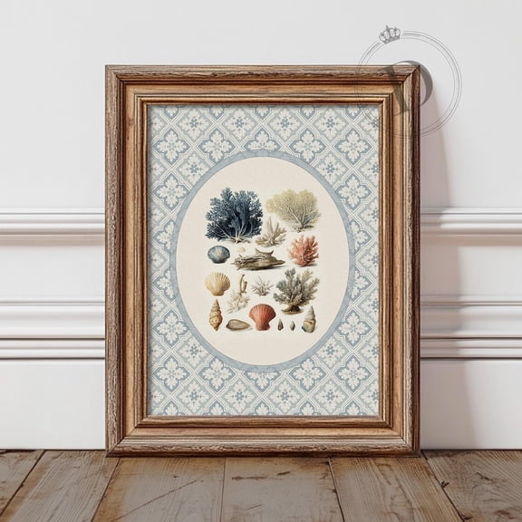 Seashell Collection Oval Wall Art Antique Coral Shell Coastal Living Room Decor Vintage