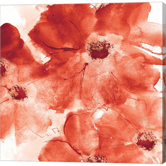 Seashell Cosmos I Red and Orange by Chris Paschke, Canvas Wall Art