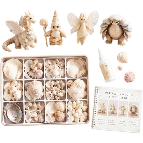 Seashell Craft Kit with Natural Shells and Tools, DIY Ornament Making Set for Desktop Decor