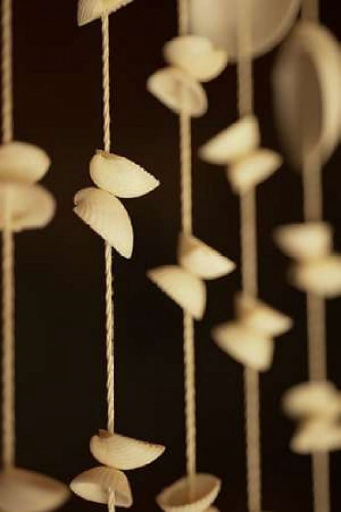 Seashell Detail Canvas Art - Erin Berzel (12 x 18)