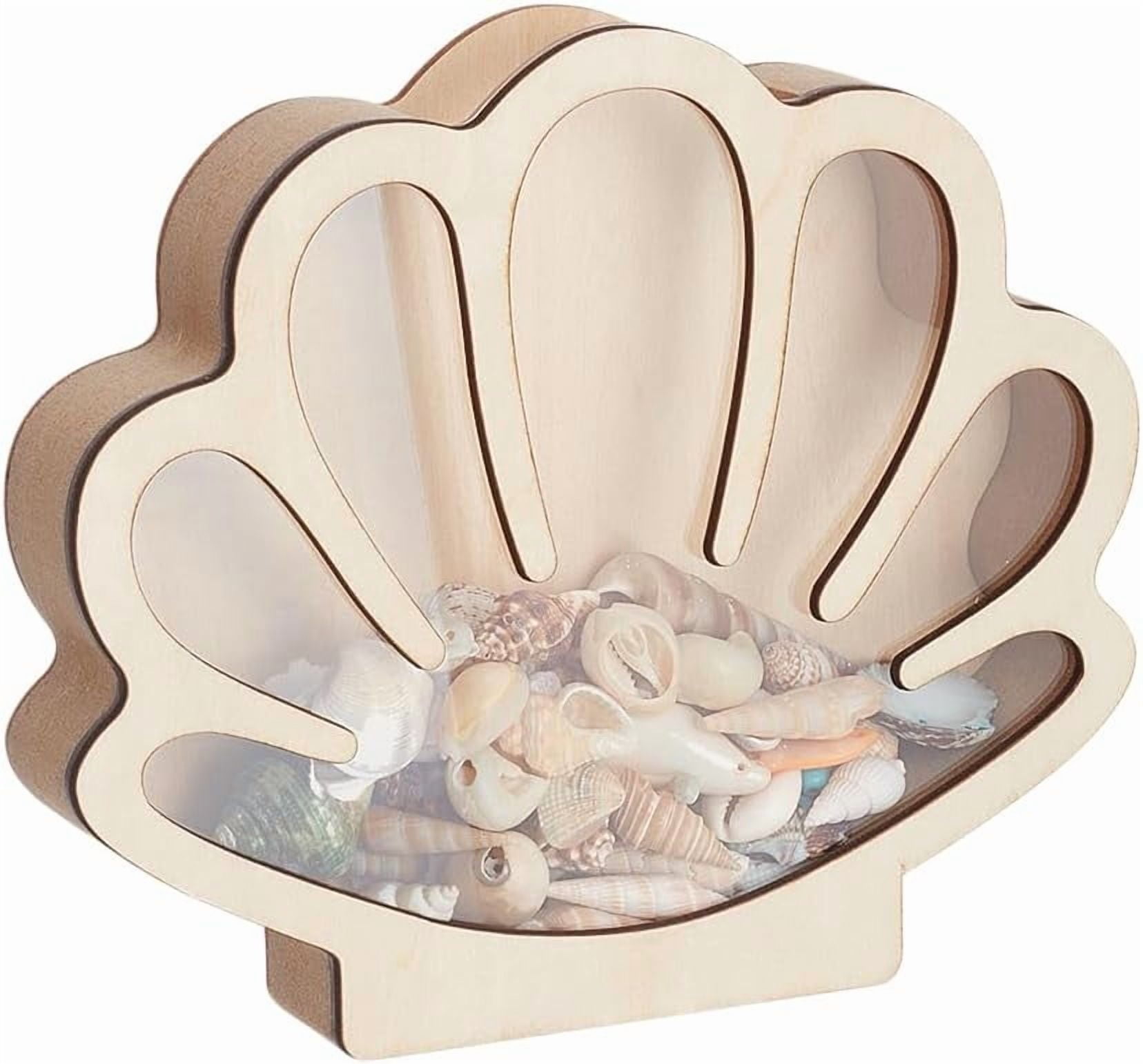 Seashell Display Box Shell Shaped Wooden Shell Display Case with Clear ...