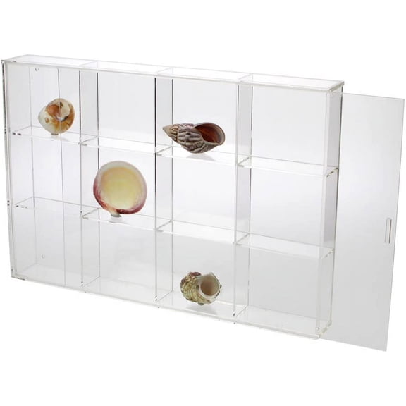 Seashell Display Case - Large 12 Compartments