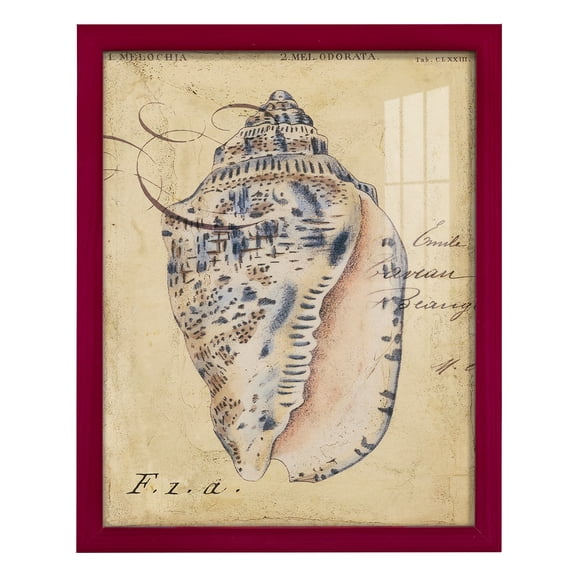 Seashell Ephemera I - Framed Print w/glass - Cherry Red