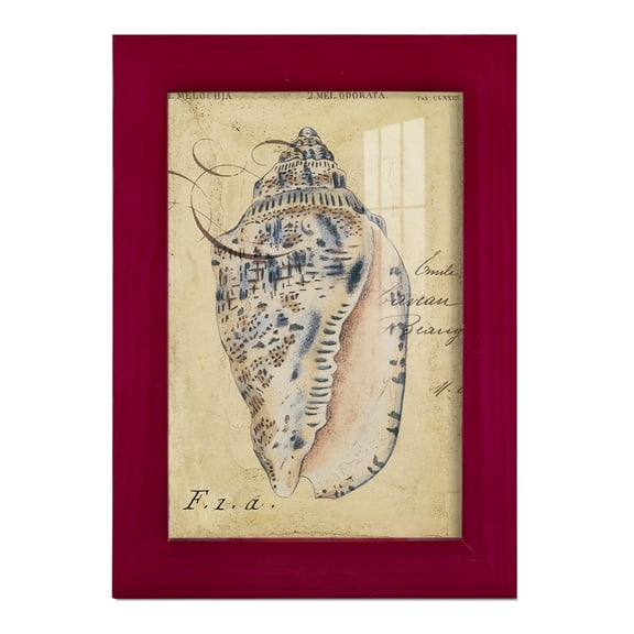 Seashell Ephemera I - Framed Print w/glass - Cherry Red