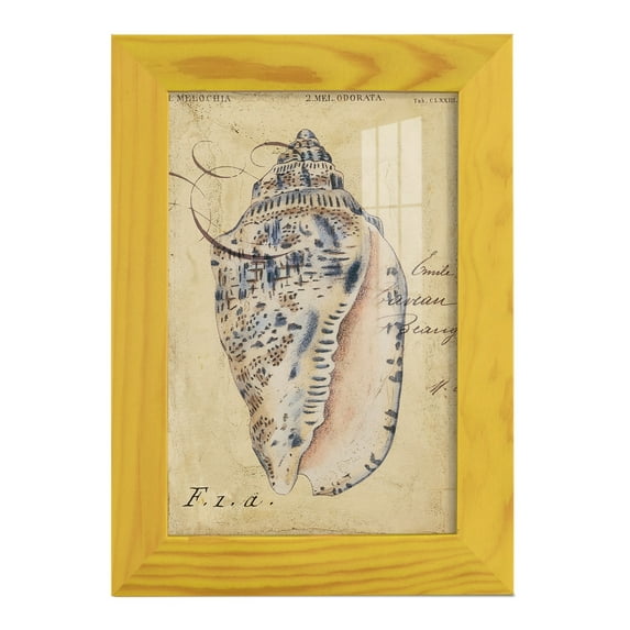 Seashell Ephemera I - Framed Print w/glass - Sunflower Yellow