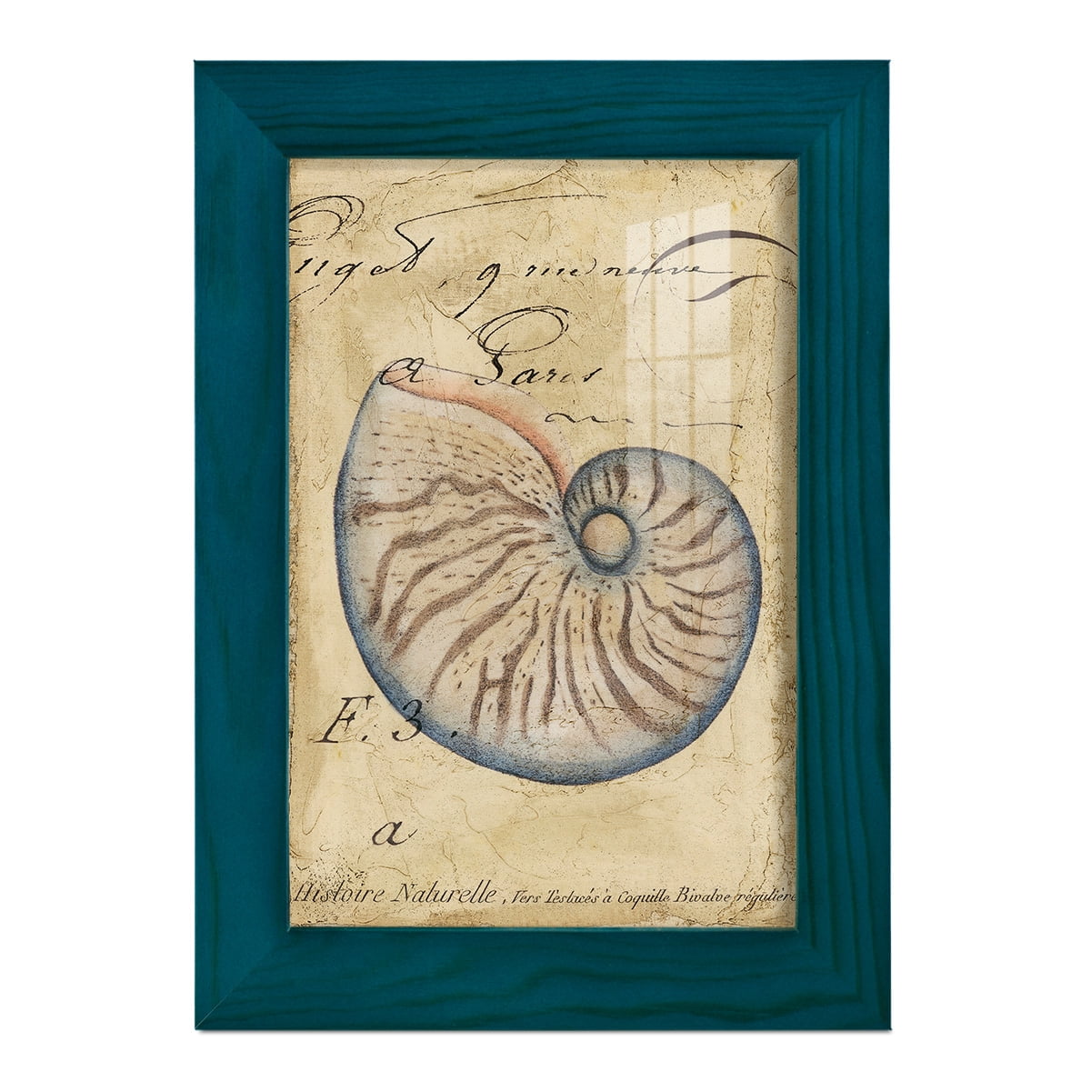 Seashell Ephemera II - Framed Print w/glass - Ocean Blue