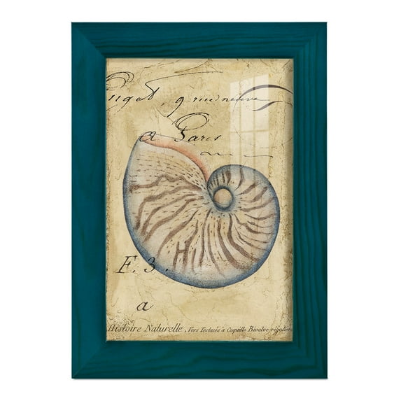 Seashell Ephemera II - Framed Print w/glass - Ocean Blue