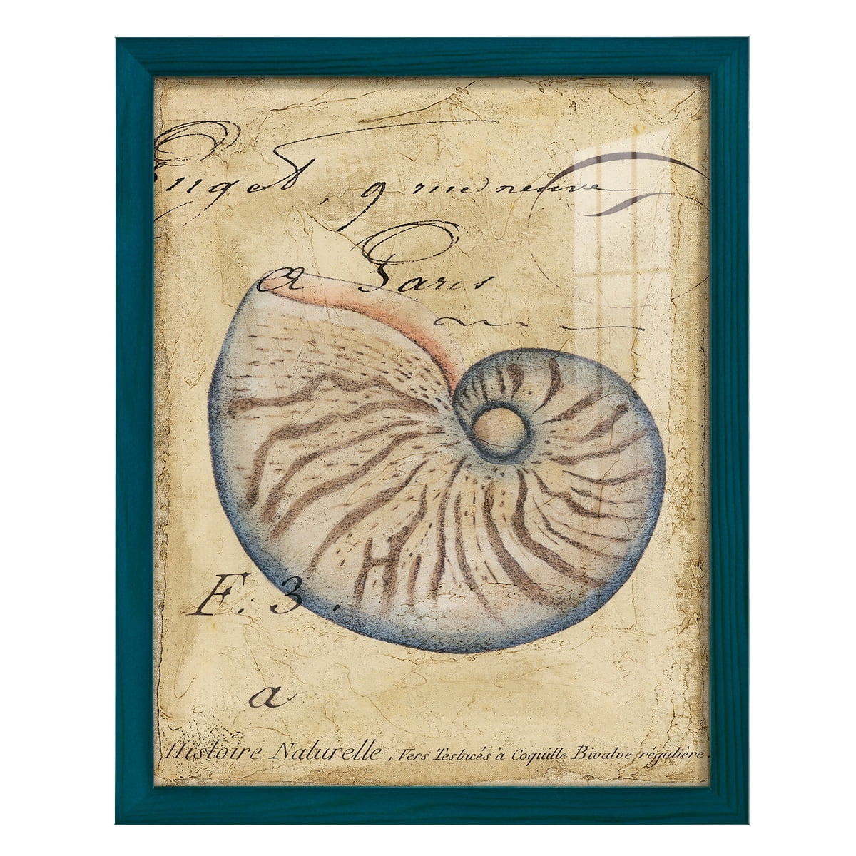 Seashell Ephemera II - Framed Print w/glass - Ocean Blue