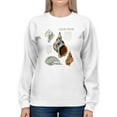 thumbnail image 1 of Seashell Field Notes I Sweatshirt Women -Naomi McCavitt Designs, Female Large, 1 of 4