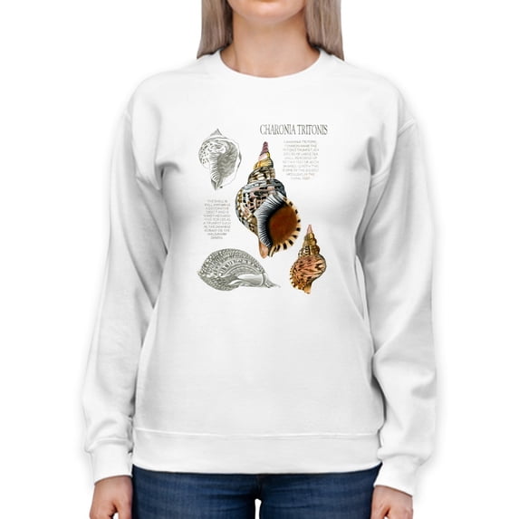 Seashell Field Notes I Sweatshirt Women -Naomi McCavitt Designs, Female Small