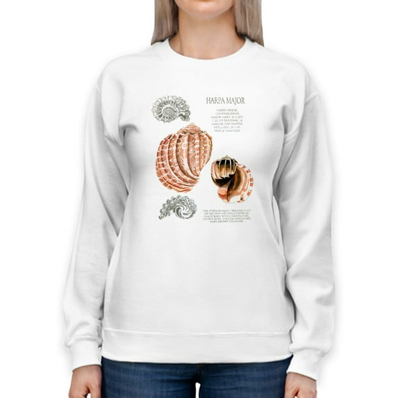 Seashell Field Notes Ii Sweatshirt Women -Naomi McCavitt Designs, Female 5X-Large