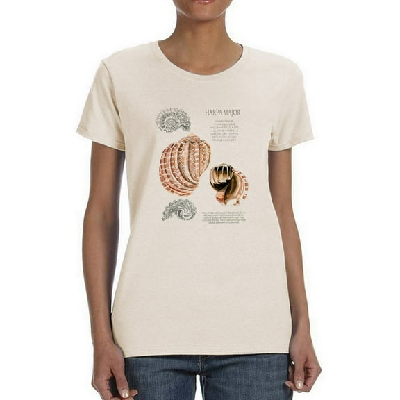 Seashell Field Notes Ii T-Shirt Women -Naomi McCavitt Designs, Female x-Large